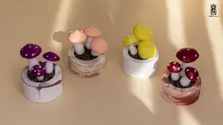 قارچ دکوری - گروه گل نفیس