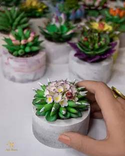 کاکتوس مصنوعی کوچک - گروه گل نفیس