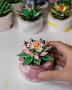 کاکتوس مصنوعی کوچک - گروه گل نفیس