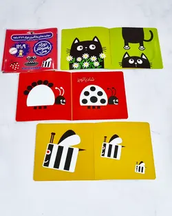 نوزاد باهوش من ۹ تا ۱۲ ماه