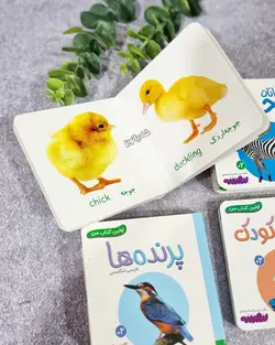 اولین کتابخانه من