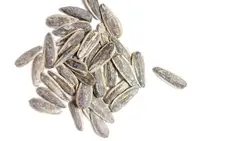 تخمه آفتابگردان خام