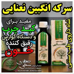 سرکه انگبین نعنایی - احیای سلامت