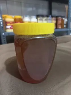 عسل زنده - احیای سلامت