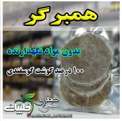 همبرگر - احیای سلامت