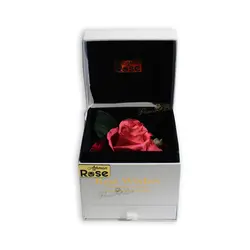 رزجاودان پرشین رز صورتی