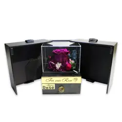 رزجاودان سورپرایز موزیکال