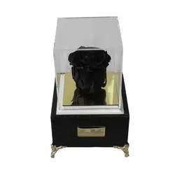 رز جاودان مشکی باكس موزیکال