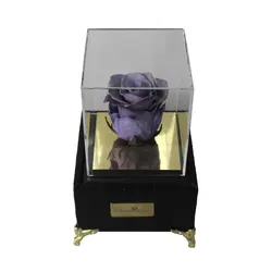 رز جاودان یاسی باكس موزیکال