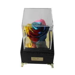 رز جاودان هفت رنگ رویال باكس موزیکال