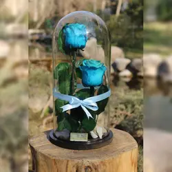 رز جاودان دیو و دلبر آبی دو شاخه