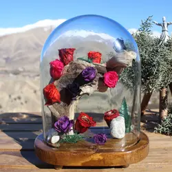 باغ گل رز جاودان مینیاتوری