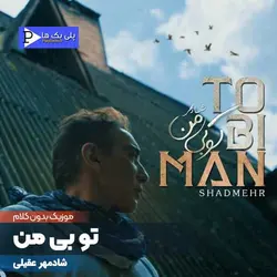 دانلود آهنگ بی کلام تو بی من شادمهر عقیلی در 3 گام متفاوت