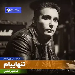 دانلود آهنگ بی کلام تنهاییام شادمهر عقیلی در 3 گام متفاوت