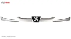 جلو پنجره 206 رنگ شده مهرخواه - دیجی کارن