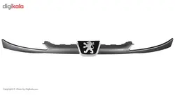 جلو پنجره 206 رنگ شده مهرخواه - دیجی کارن