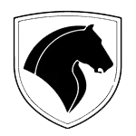 زه محافظ بدنه سورن سفید سام صنعت امروز