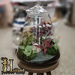 تراریوم شیشه‌ای طبیعی - مدل E8