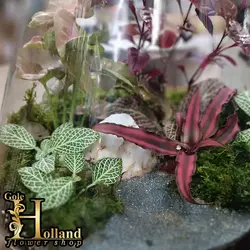 تراریوم شیشه‌ای طبیعی - مدل E8