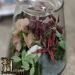 تراریوم شیشه‌ای طبیعی - مدل E8