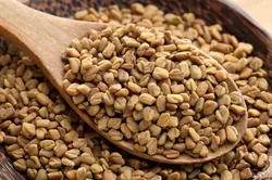 دانه شنبلیله 200 گرمی روغندون