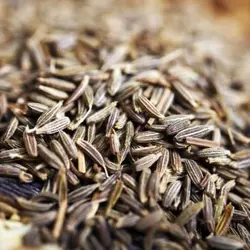 رازیانه 150 گرمی روغندون