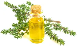 روغن آویشن 60 میل روغندون