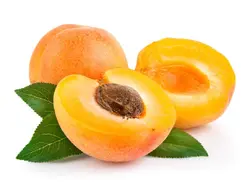 روغن زردآلو 60 میل روغندون