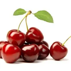 روغن مغز هسته آلبالو 60 میل روغندون