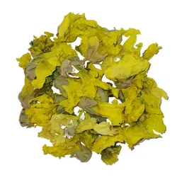 گل ختمی زرد 40 گرمی روغندون