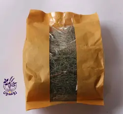 گیاه دم اسب