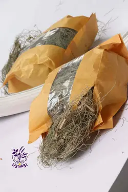 گیاه دم اسب