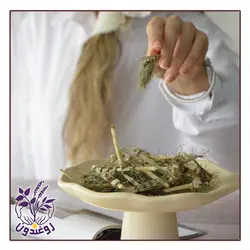 گیاه دم اسب