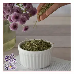 گیاه رزماری روغندون 60  گرمی