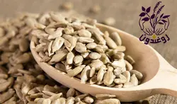 مغز آفتابگردان 200 گرم