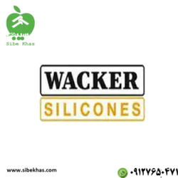 نانو واکر آلمان bs290 و bs4004 wacker - نانو عایق رزین براق کننده ضدآب آبگریز