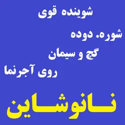 شوینده قوی شوره و دوغاب سیمان نما نانوشاین - ۱٫۵Kg - نانو عایق رزین براق کننده ضدآب آبگریز