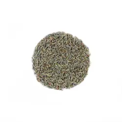 اسطوخودوس فرانسوی