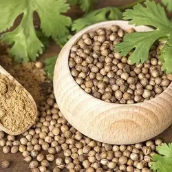 روغن گشنیز