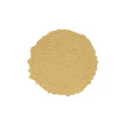 گیاه زنجبیل