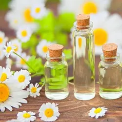 روغن بابونه