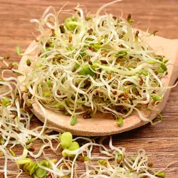 روغن جوانه گندم