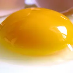 روغن زرده تخم مرغ