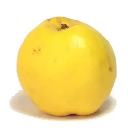 روغن سفرجل