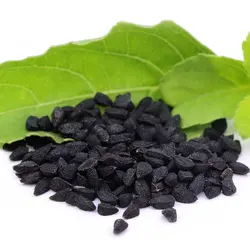 سیاهدانه