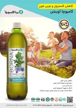 نوشیدنی کامبوچا آویشن