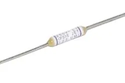 فیوز حرارتی 100C-1A-250V