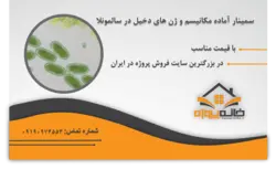 سمینار اثربخشی گروه درمانی بر کیفیت زندگی در اختلال تنیدگی