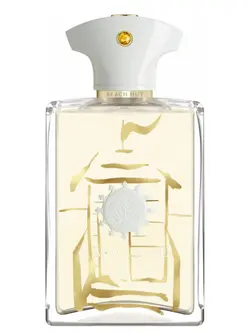 خرید و قیمت عطر ادکلن آمواج بیچ هات من - الیسوم - Elysom