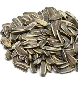 تخمه آفتابگردان معمولی